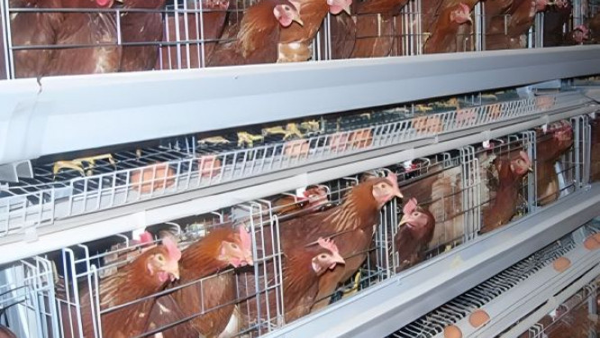 30bb136f59b707be016efd31a3ddbc95_XL