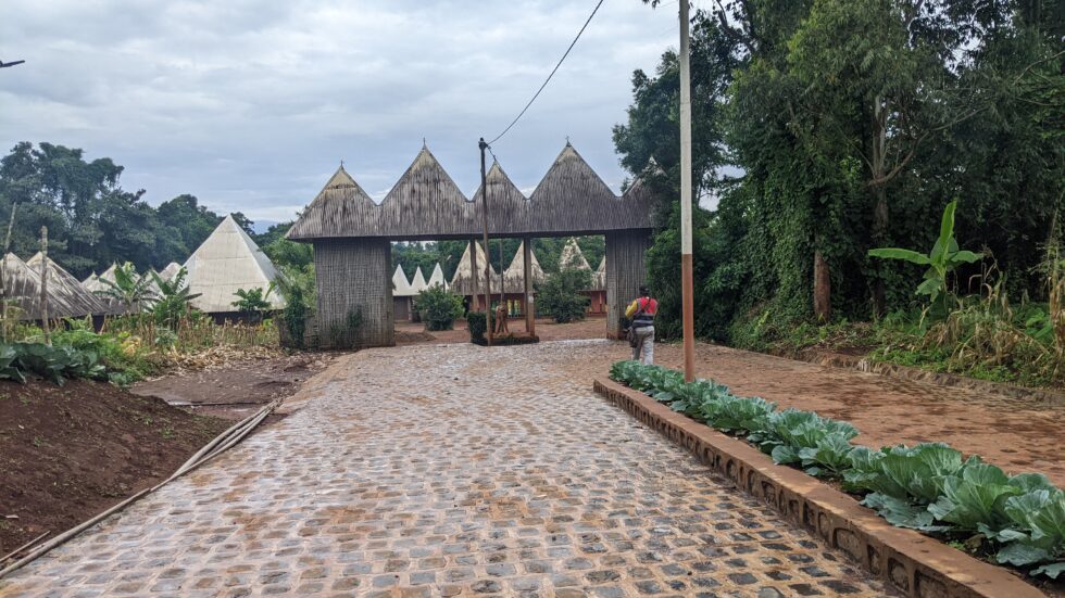 PXL_20240812_141326328-980×551